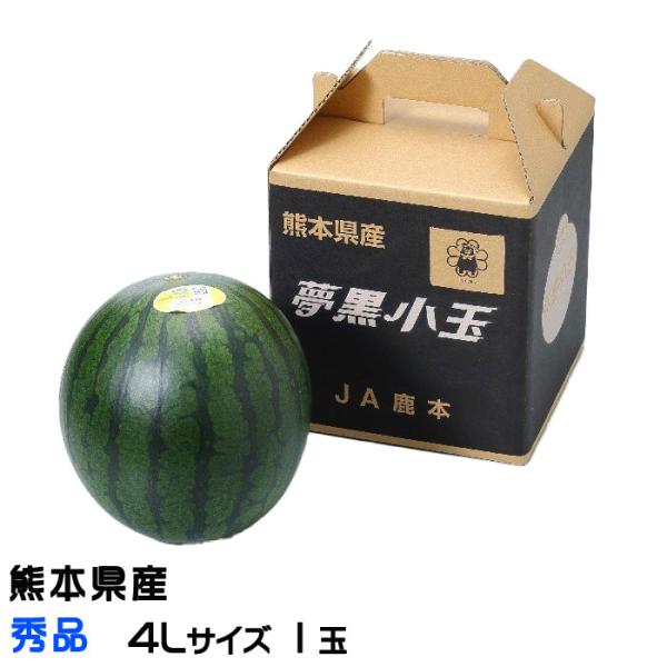 すいか 夢黒小玉すいか 秀品 4Lサイズ 1玉入り 3.0kg 熊本県産 JA鹿本 スイカ 西瓜 ギ...