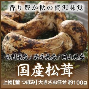 松茸 まつたけ 中国産 約100グラム程度 : 夜の八百屋さん - 通販