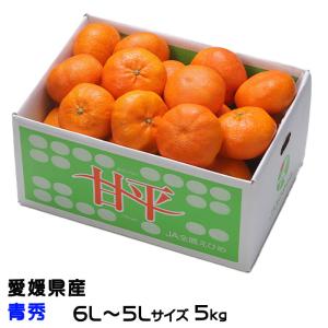 甘平 お得用 5kg : 愛媛だいすけ果樹園 - 通販 - Yahoo!ショッピング