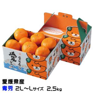 みかん 山川みかん ”福岡産 マイルド130” 秀品 小粒2Sサイズ 約4kg