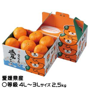 みかん 小原紅早生 風のいたずら ちょっと訳あり 大きさおまかせ 5kg