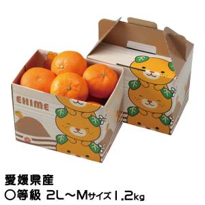 極旨】甘平（かんぺい）お得用10kg（愛媛県大三島産） : 俺のみかん