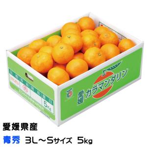 カラマンダリン 家庭用 訳あり S〜Mサイズ 約5kg 愛媛県 フルーツ