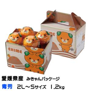 みかん 完熟春みかん カラマンダリン みきゃんパッケージ 青秀 2L〜S 1.2kg 8〜15玉入り 愛媛県産 ＪＡえひめ中央 中島選果場 ミカン 蜜柑 母の日｜hachiya-fruits