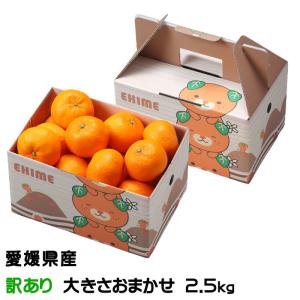みかん 完熟春みかん カラマンダリン 風のいたずら 訳あり 大きさおまかせ 2.5kg ★ 愛媛県 中島産 ミカン 蜜柑 ギフト お取り寄せグルメ