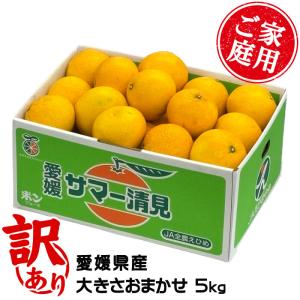みかん サマー清見 風のいたずら ちょっと訳あり 大きさおまかせ 5kg 希少な黄色い清見オレンジ 愛媛県産