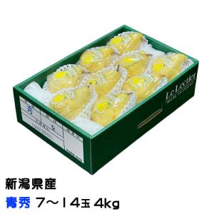 洋梨 ルレクチェ 青秀 大玉 7玉〜14玉 4kg 新潟県産 ＪＡ新潟 梨 ナシ なし ギフト