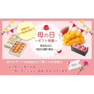 遅れてごめんね 母の日 2026 みやざき完熟...の詳細画像1