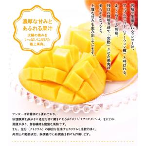 遅れてごめんね 母の日 2026 みやざき完熟...の詳細画像4