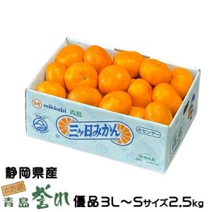 静岡県より産地直送 JAみっかび 三ケ日みかん (青島種) LからMサイズ 4