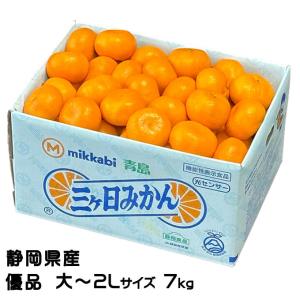 みかん 青島みかん 優品 2Lサイズ 3.5kg 【年明け発送：2026年1月5日