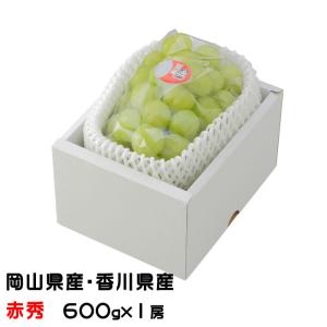 ぶどう 桃太郎ぶどう 赤秀 600g×1房 岡山県産 香川県産 葡萄 ブドウ