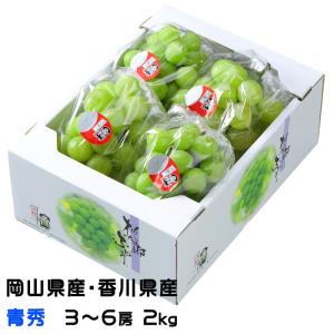 ぶどう 桃太郎ぶどう 青秀 3〜6房 2kg 岡...の商品画像