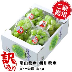 ぶどう 桃太郎ぶどう 風のいたずら ちょっと訳あり 3〜6房 2kg 岡山県