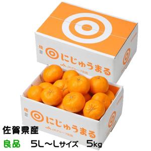 みかん にじゅうまる 良品 5L〜Lサイズ 5kg JAグループ佐賀 ギフト｜hachiya-fruits