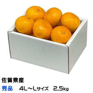 みかん にじゅうまる 秀品 4L〜Lサイズ 2.5kg JAグループ佐賀 ギフト｜hachiya-fruits