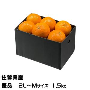 みかん にじゅうまる 優品 2L〜Mサイズ 1.5kg JAグループ佐賀 ギフト｜hachiya-fruits