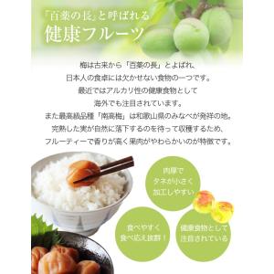 梅 紀州 南高梅 和歌山県産 秀品 3Lサイズ...の詳細画像3