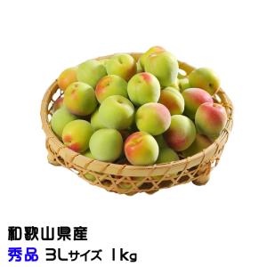 梅 紀州 南高梅 和歌山県産 秀品 3Lサイズ 1kg うめ 生梅