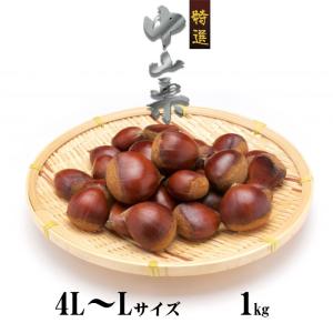 栗 中山栗 生栗 4L〜Lサイズ 1kg 愛媛県産 JAえひめ中央 くり クリ