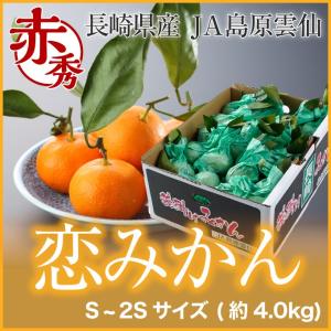 みかん 恋みかん 越冬完熟 袋掛けみかん 赤秀 S〜2Sサイズ 4kg 長崎県産 JA島原雲仙 送料無料 蜜柑 ミカン