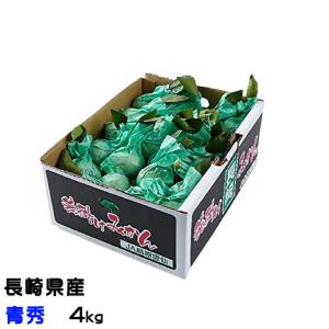 みかん 恋みかん 青秀 4kg ■ 越冬完熟 袋掛けみかん 長崎県産 JA島原雲仙 蜜柑 ミカン