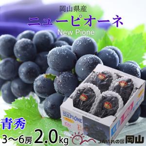 お中元 ぶどう ニューピオーネ 青秀 3〜6房 ...の商品画像