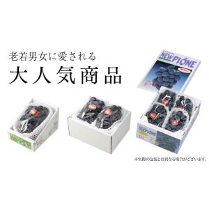 お中元 ぶどう ニューピオーネ 青秀 3〜6房...の詳細画像4