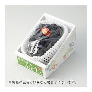 ぶどう ニューピオーネ 赤秀 600g×1房 ...の詳細画像3