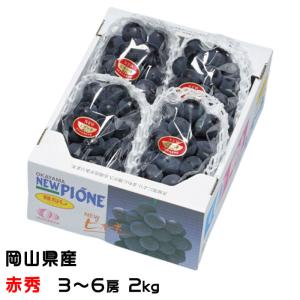 マイハート 希少品種 高級ぶどう 約1.2〜1.5kg 2房 山梨県産 非常に