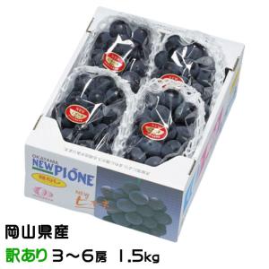 ぶどう ニューピオーネ 風のいたずら ちょっと訳あり 3〜6房 1.5kg 岡山県産 ＪＡおかやま 葡萄 ブドウ