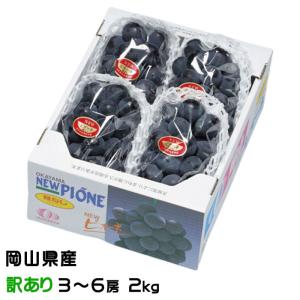 ぶどう ニューピオーネ 風のいたずら ちょっと訳あり 3〜6房 2kg 岡山県産 ＪＡおかやま 葡萄 ブドウ