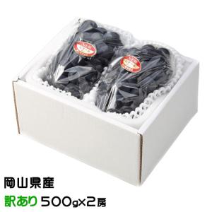ぶどう ニューピオーネ 風のいたずら ちょっと訳あり 500g×2房 岡山県産 ＪＡおかやま 葡萄 ブドウ