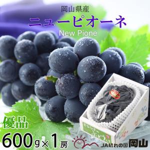 ぶどう ニューピオーネ 優品 600g×1房 岡山県産 ＪＡおかやま 葡萄 ブドウ お中元 父の日｜hachiya-fruits