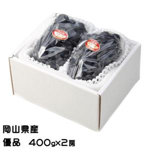 ぶどう ニューピオーネ 優品 400g×2房 岡山県産 ＪＡおかやま 葡萄 ブドウ