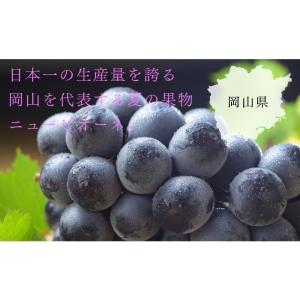 ぶどう ニューピオーネ 優品 400g×2房 ...の詳細画像3