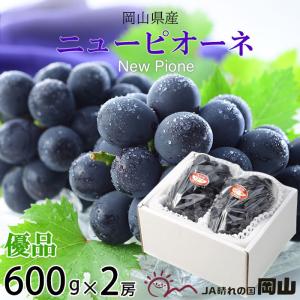 ぶどう ニューピオーネ 優品 600g×2房 岡山県産 ＪＡおかやま 葡萄 ブドウ