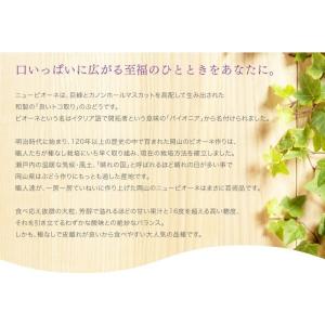 ぶどう ニューピオーネ 優品 600g×2房 ...の詳細画像5
