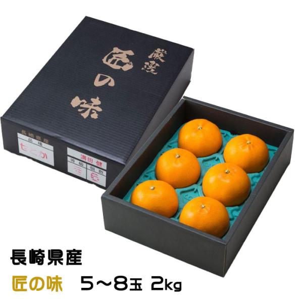 みかん せとか 長崎県産 ○南 マルナン 匠の味（糖度13度以上） 大玉 5〜8玉  2kg  みか...