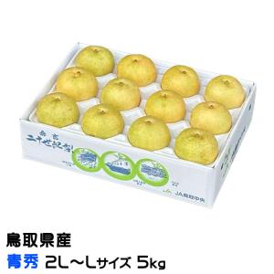 梨 20世紀梨 青秀 2L〜Lサイズ 16〜18玉 約5kg 鳥取県産 なし ナシ