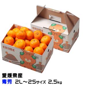 みかん 早生みかん 優品 Sサイズ 8kg JAみっかび 産地直送 三ヶ日