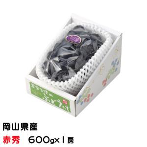 ぶどう オーロラブラック 赤秀 大粒 600g 1房 岡山県産 ＪＡおかやま 葡萄 ブドウ