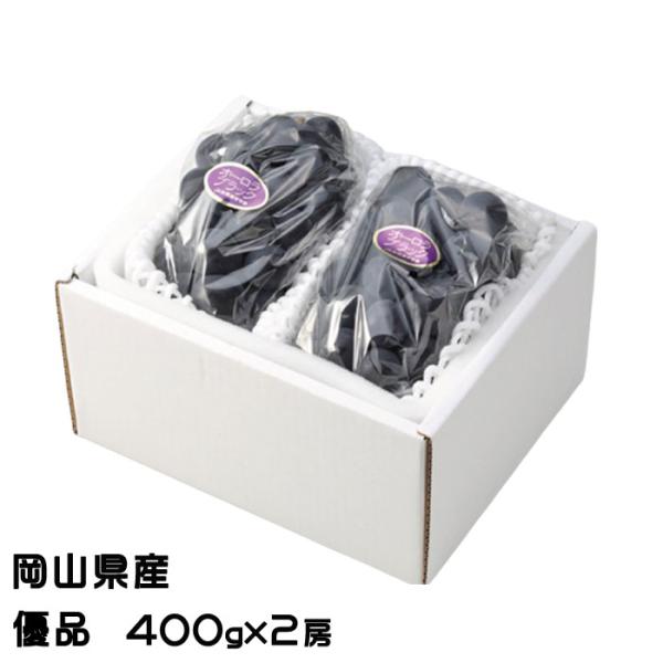 お中元 ぶどう オーロラブラック 優品 大粒 400g×2房 岡山県産 ＪＡおかやま 葡萄 ブドウ