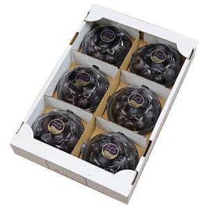 ぶどう オーロラブラック 摘み落とし風のいたずら 訳あり 200g x 6パック 岡山県産 ＪＡおかやま 葡萄 ブドウ ギフト お取り寄せ
