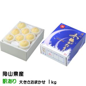 (送料無料) 『訳あり』 岡山県産 白桃 『岡山冬桃がた...
