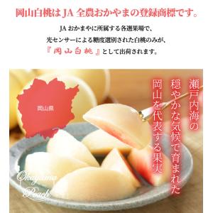 桃 岡山白桃 ロイヤル 4〜6玉 1kg 岡山...の詳細画像2
