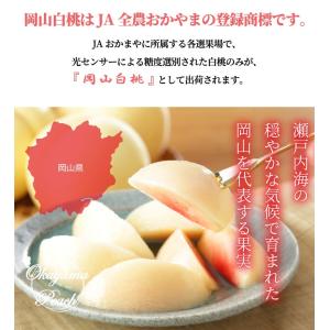 お中元 桃 岡山白桃 ロイヤル 5〜10玉 2...の詳細画像2