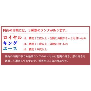 お中元 桃 岡山白桃 ロイヤル 5〜10玉 2...の詳細画像5