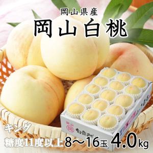 お中元 桃 岡山白桃 キング 8〜16玉 4.0kg 岡山県産 ＪＡおかやま もも モモ｜hachiya-fruits