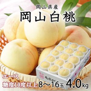 お中元 桃 岡山白桃 エース 8〜16玉 4.0kg 岡山県産 ＪＡおかやま もも モモ｜hachiya-fruits